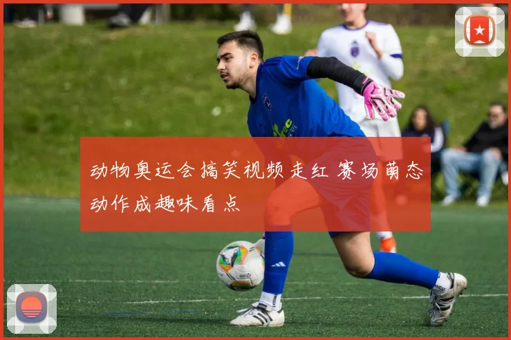 动物奥运会搞笑视频走红 赛场萌态动作成趣味看点
