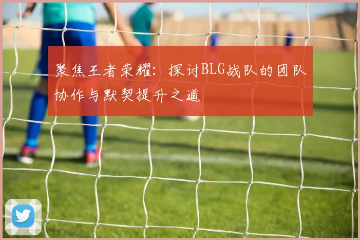 聚焦王者荣耀：探讨BLG战队的团队协作与默契提升之道