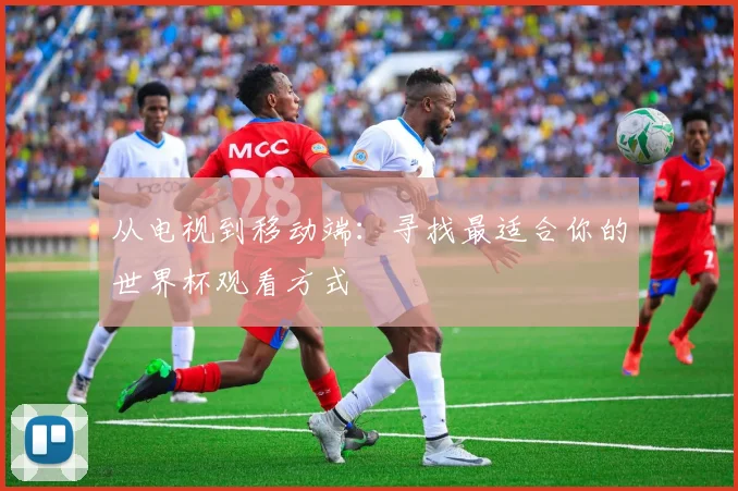 从电视到移动端：寻找最适合你的世界杯观看方式